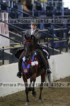 Proof Number 10r14_4352