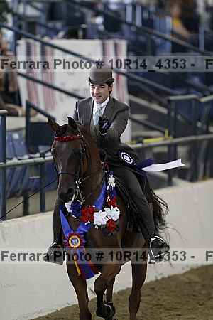 Proof Number 10r14_4353