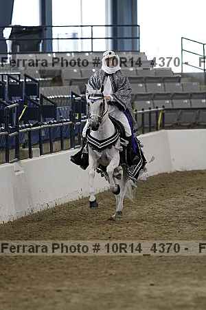 Proof Number 10r14_4370