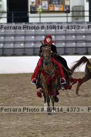 Proof Number 10r14_4373