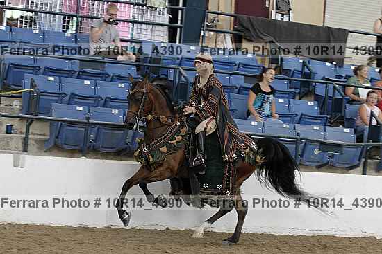 Proof Number 10r14_4390