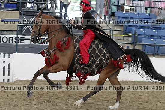 Proof Number 10r14_4391