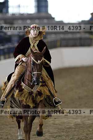 Proof Number 10r14_4393