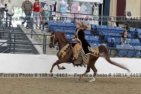 Proof Number 10r14_4403
