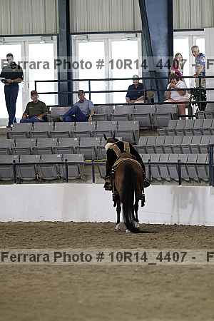 Proof Number 10r14_4407