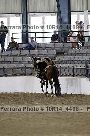 Proof Number 10r14_4408