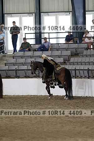Proof Number 10r14_4409