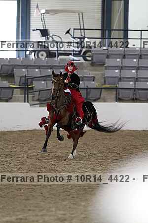 Proof Number 10r14_4422