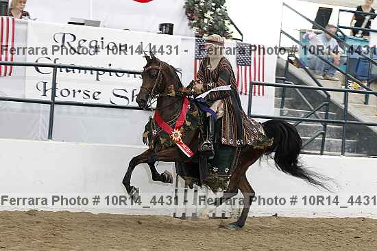 Proof Number 10r14_4431