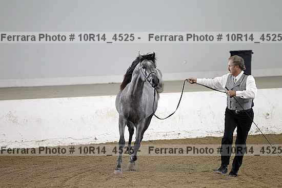 Proof Number 10r14_4525