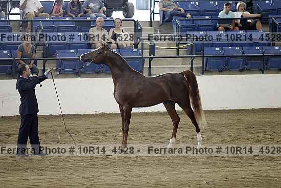 Proof Number 10r14_4528