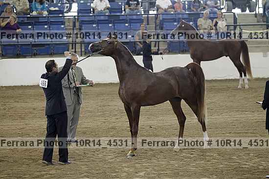 Proof Number 10r14_4531