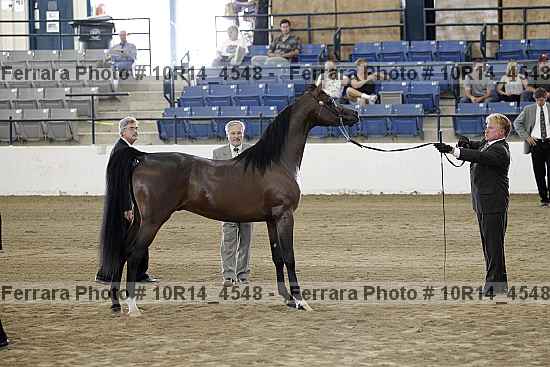 Proof Number 10r14_4548