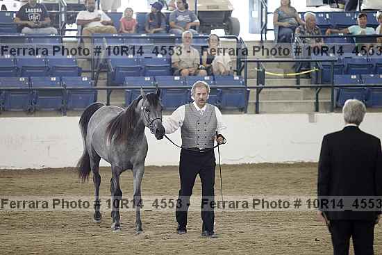 Proof Number 10r14_4553