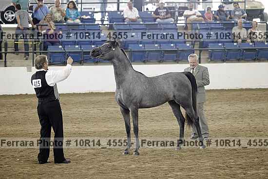Proof Number 10r14_4555