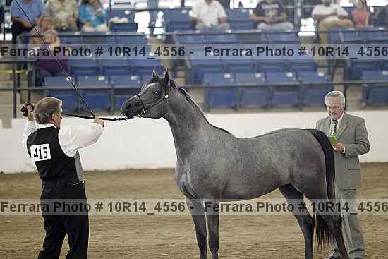 Proof Number 10r14_4556