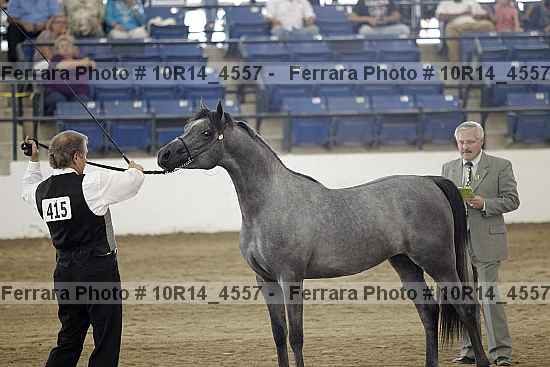Proof Number 10r14_4557