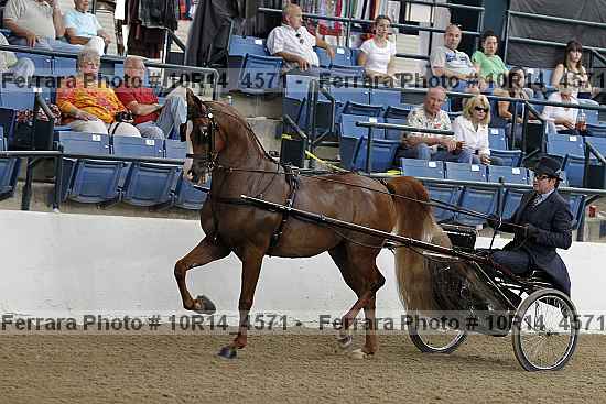 Proof Number 10r14_4571