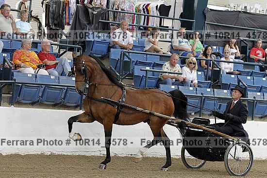 Proof Number 10r14_4578