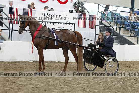 Proof Number 10r14_4593