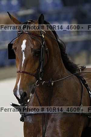 Proof Number 10r14_4600