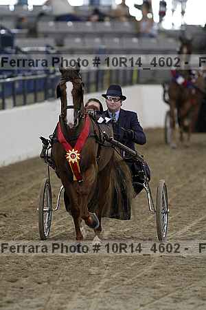 Proof Number 10r14_4602