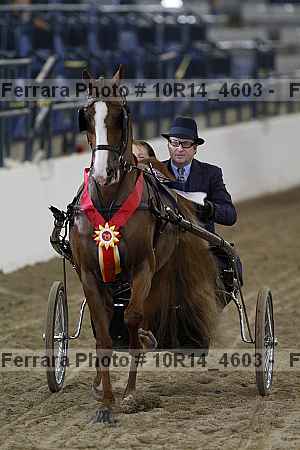 Proof Number 10r14_4603