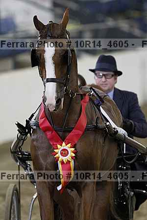 Proof Number 10r14_4605