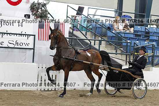 Proof Number 10r14_4607