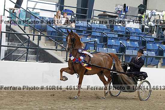 Proof Number 10r14_4613