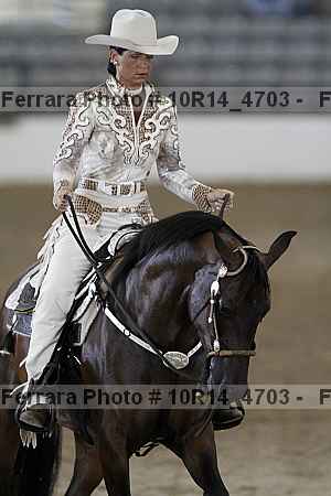 Proof Number 10r14_4703