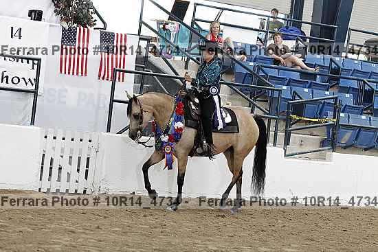 Proof Number 10r14_4734
