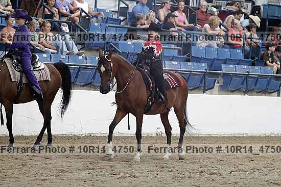Proof Number 10r14_4750