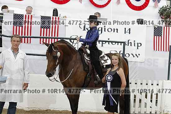 Proof Number 10r14_4772