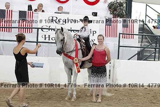 Proof Number 10r14_4779
