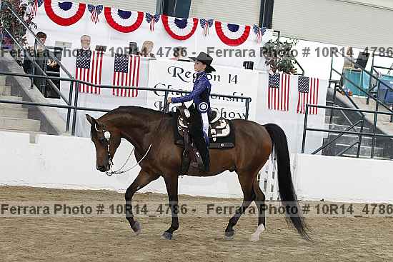 Proof Number 10r14_4786