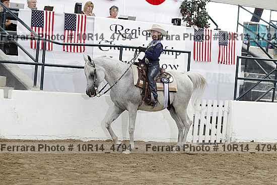 Proof Number 10r14_4794
