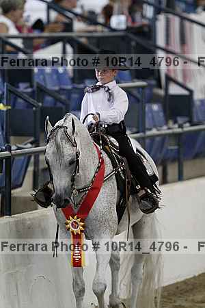 Proof Number 10r14_4796