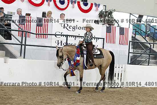 Proof Number 10r14_4801