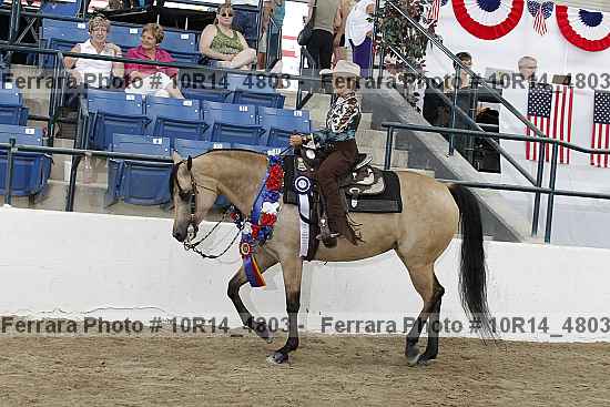 Proof Number 10r14_4803