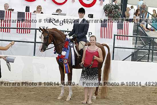 Proof Number 10r14_4829