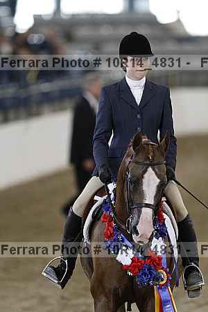 Proof Number 10r14_4831