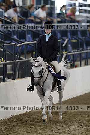 Proof Number 10r14_4833
