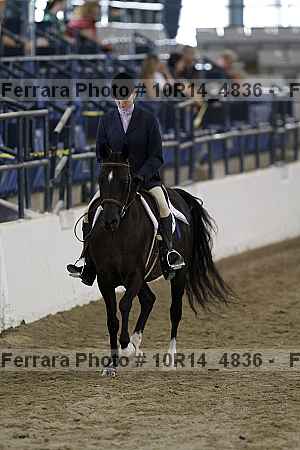 Proof Number 10r14_4836