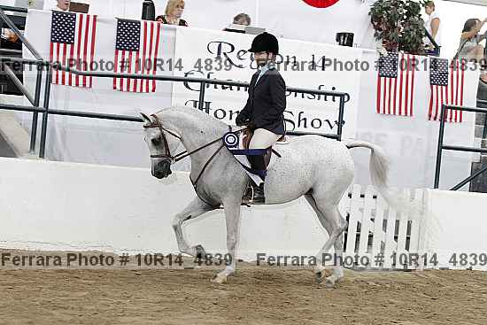 Proof Number 10r14_4839