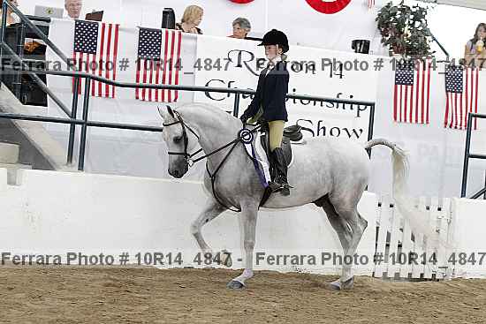 Proof Number 10r14_4847