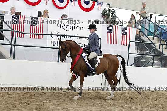 Proof Number 10r14_4853