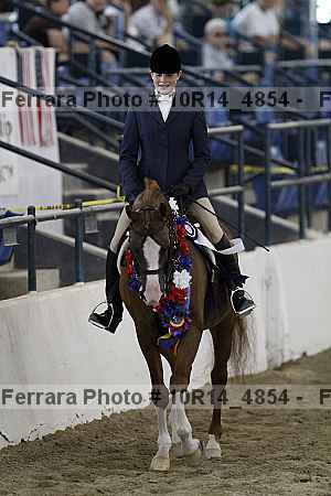 Proof Number 10r14_4854