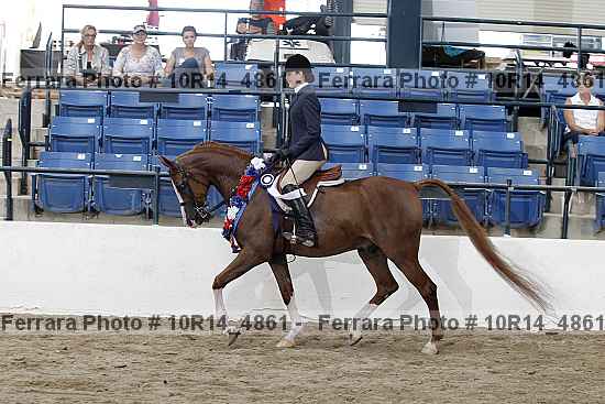 Proof Number 10r14_4861