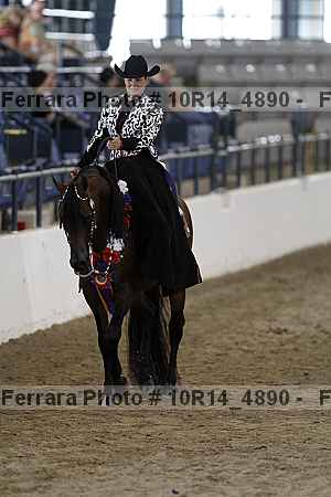Proof Number 10r14_4890